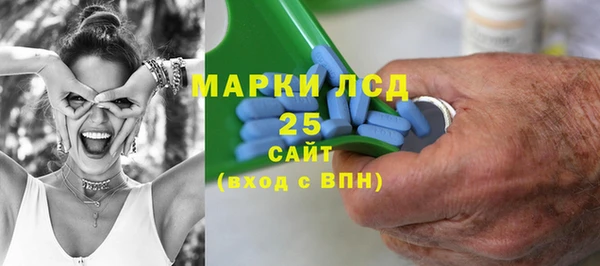 ПСИЛОЦИБИНОВЫЕ ГРИБЫ Аркадак