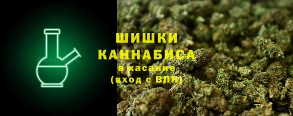 ПСИЛОЦИБИНОВЫЕ ГРИБЫ Аркадак