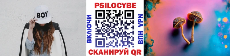 Псилоцибиновые грибы мицелий Среднеуральск